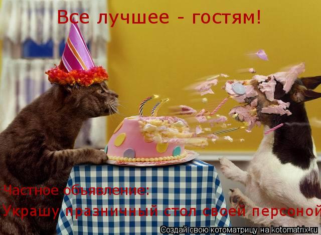 Все лучшее - гостям! Украшу празничный стол своей персоной! Частное объявление:... Котоматрица: Все лучшее - гостям! Украшу празничный стол своей персоной! Частное объявление: