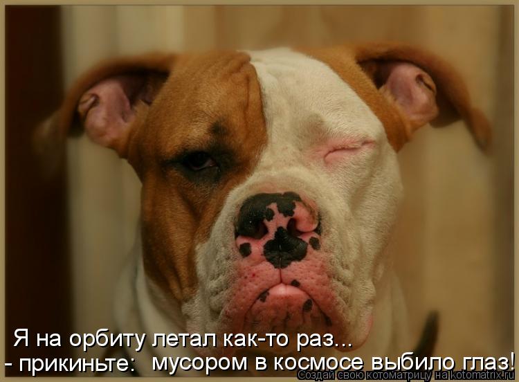 Я на орбиту летал как-то раз... мусором в космосе выбило глаз! - прикиньте:... Котоматрица: Я на орбиту летал как-то раз... мусором в космосе выбило глаз! - прикиньте: