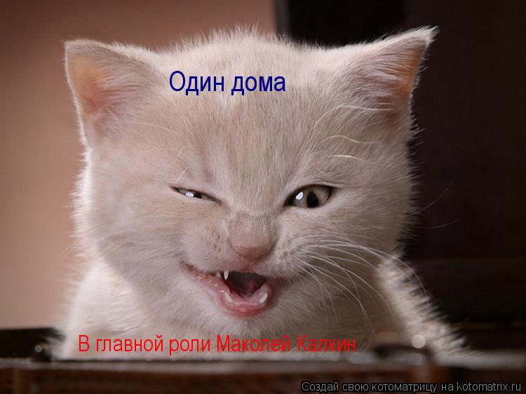 В главной роли Маколей Калкин Один дома... Котоматрица: В главной роли Маколей Калкин Один дома