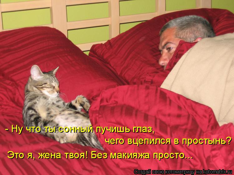 Котоматрица: - Ну что ты сонный пучишь глаз,  чего вцепился в простынь? Это я, жена твоя! Без макияжа просто...