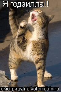 Я годзилла!!... Котоматрица: Я годзилла!!