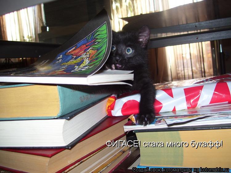 ФИГАСЕ! скака много букафф!... Котоматрица: ФИГАСЕ! скака много букафф!