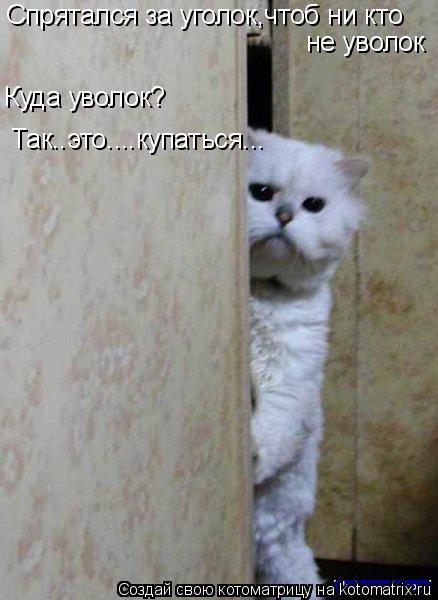 Спрятался за уголок,чтоб ни кто не уволок Куда уволок? Так..это....купаться...... Котоматрица: Спрятался за уголок,чтоб ни кто не уволок Куда уволок? Так..это....купаться...