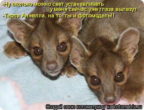 -Ну сколько можно свет устанавливать у меня сейчас уже глаза вылезут -Терпи Анжелла, на то ты и фото... Котоматрица: -Ну сколько можно свет устанавливать у меня сейчас уже глаза вылезут -Терпи Анжелла, на то ты и фотомодель!!