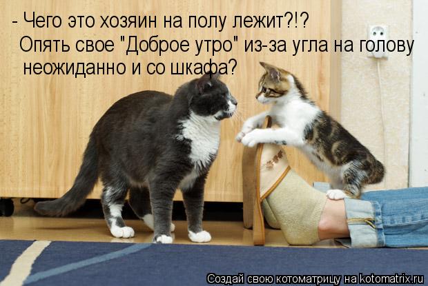 Котоматрица: - Чего это хозяин на полу лежит?!?  неожиданно и со шкафа? Опять свое "Доброе утро" из-за угла на голову