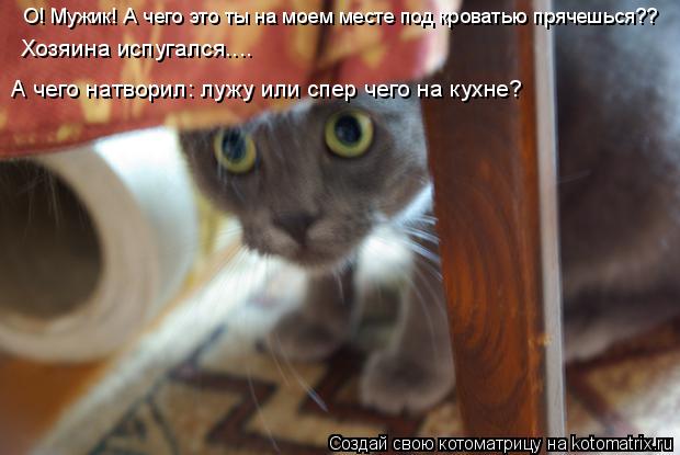 Котоматрица: О! Мужик! А чего это ты на моем месте под кроватью прячешься?? А чего натворил: лужу или спер чего на кухне? Хозяина испугался....