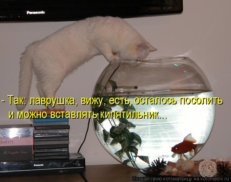 - Так: лаврушка, вижу, есть, осталось посолить и можно вставлять кипятильник...... Котоматрица: - Так: лаврушка, вижу, есть, осталось посолить и можно вставлять кипятильник...
