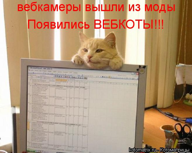 вебкамеры вышли из моды вебкамеры вышли из моды вебкамеры вышли из моды Появились ВЕБКОТЫ!!!... Котоматрица: вебкамеры вышли из моды вебкамеры вышли из моды вебкамеры вышли из моды Появились ВЕБКОТЫ!!!