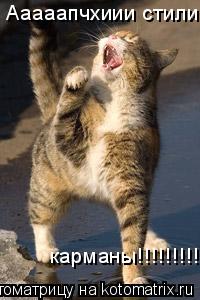 Ааааапчхиии стили карманы!!!!!!!!!!... Котоматрица: Ааааапчхиии стили карманы!!!!!!!!!!