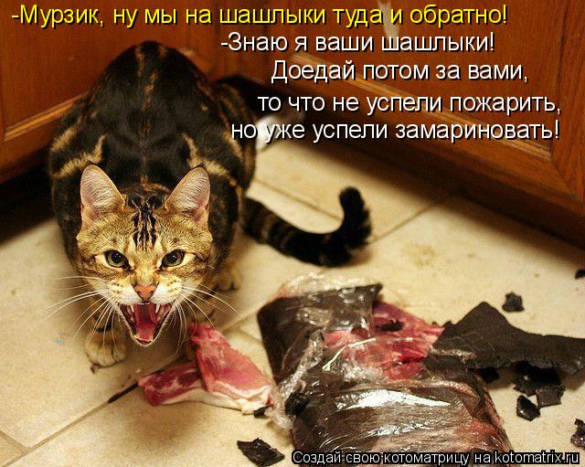 -Мурзик, ну мы на шашлыки туда и обратно! -Знаю я ваши шашлыки! Доедай потом за вами, то что не успе... Котоматрица: -Мурзик, ну мы на шашлыки туда и обратно! -Знаю я ваши шашлыки! Доедай потом за вами, то что не успели пожарить, но уже успели замариновать!