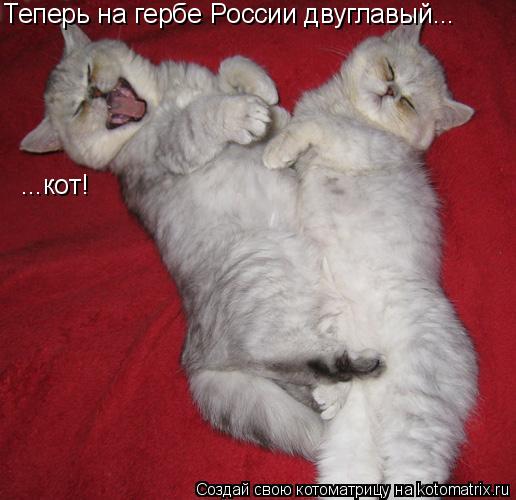 Теперь на гербе России двуглавый... ...кот!... Котоматрица: Теперь на гербе России двуглавый... ...кот!