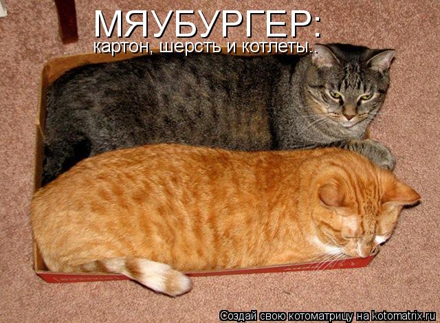 МЯУБУРГЕР: картон, шерсть и котлеты..... Котоматрица: МЯУБУРГЕР: картон, шерсть и котлеты..
