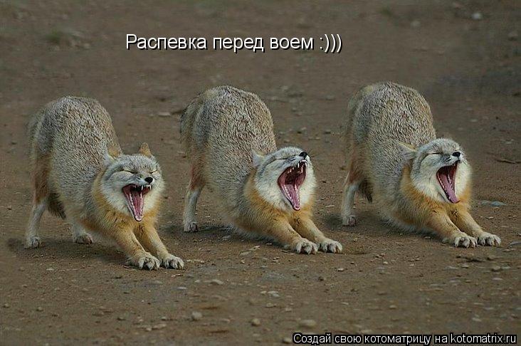 Распевка перед воем :)))... Котоматрица: Распевка перед воем :)))