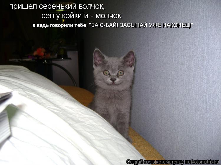 пришел серенький волчок, пришел серенький волчок, сел у койки и - молчок сел у койки и - молчок а вед... Котоматрица: пришел серенький волчок, пришел серенький волчок, сел у койки и - молчок сел у койки и - молчок а ведь говорили тебе: "БАЮ-БАЙ! ЗАСЫПАЙ УЖЕ НАКО