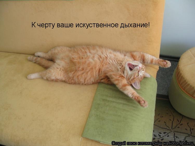 К черту ваше искуственное дыхание!... Котоматрица: К черту ваше искуственное дыхание!