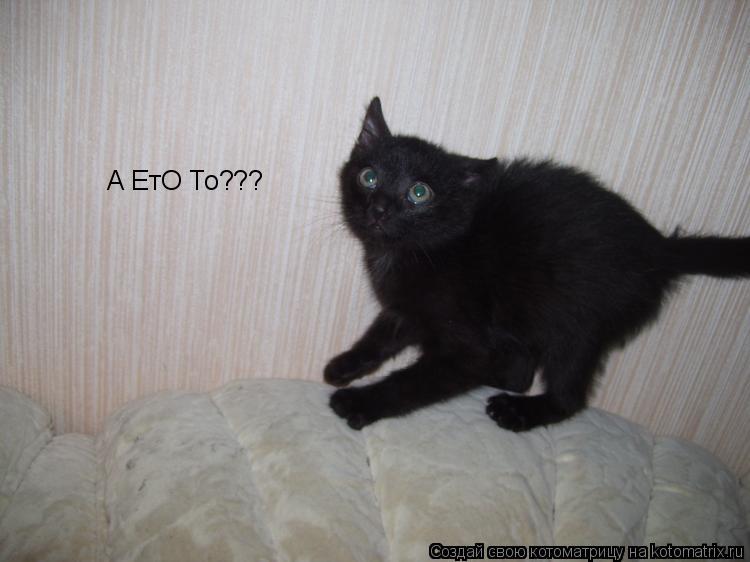 А ЕтО То???... Котоматрица: А ЕтО То???