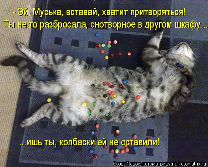 Ты не то разбросала, снотворное в другом шкафу... - Эй, Муська, вставай, хватит притворяться! ...ишь ... Котоматрица: Ты не то разбросала, снотворное в другом шкафу... - Эй, Муська, вставай, хватит притворяться! ...ишь ты, колбаски ей не оставили!