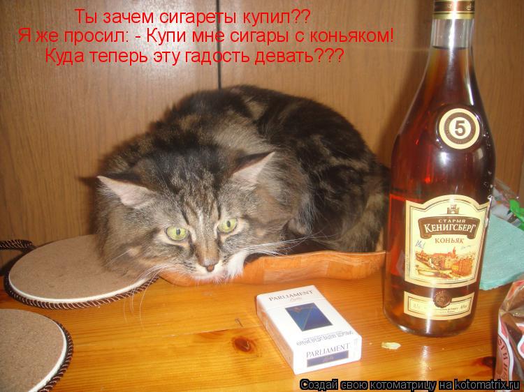 Ты зачем сигареты купил?? Я же просил: - Купи мне сигары с коньяком! Куда теперь эту гадость девать??... Котоматрица: Ты зачем сигареты купил?? Я же просил: - Купи мне сигары с коньяком! Куда теперь эту гадость девать???
