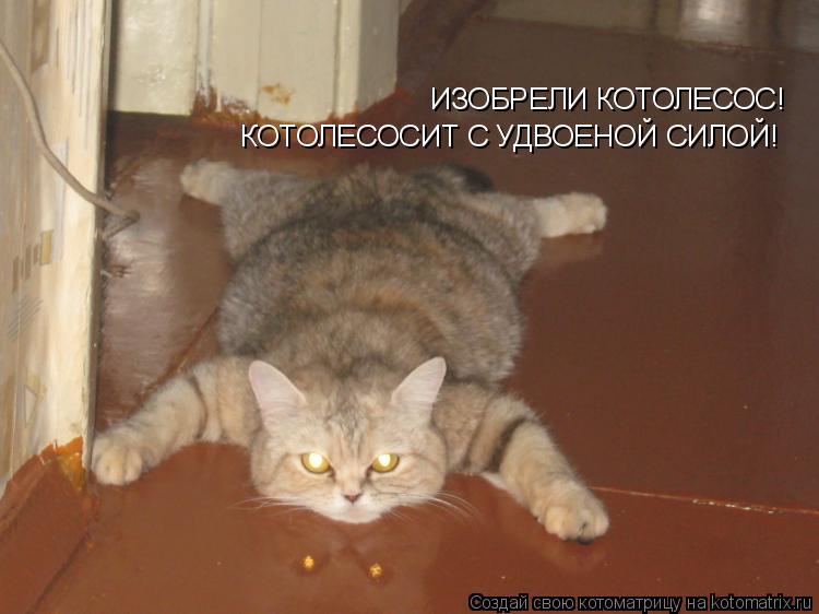 ИЗОБРЕЛИ КОТОЛЕСОС! КОТОЛЕСОСИТ С УДВОЕНОЙ СИЛОЙ!... Котоматрица: ИЗОБРЕЛИ КОТОЛЕСОС! КОТОЛЕСОСИТ С УДВОЕНОЙ СИЛОЙ!