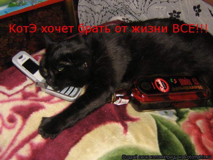 КотЭ хочет брать от жизни ВСЕ!!!... Котоматрица: КотЭ хочет брать от жизни ВСЕ!!!