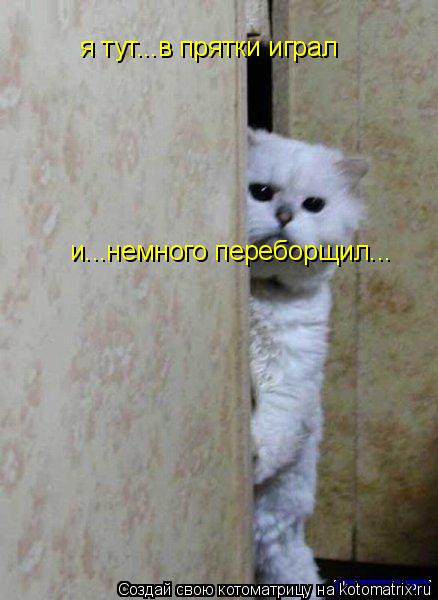 я тут...в прятки играл и...немного переборщил...... Котоматрица: я тут...в прятки играл и...немного переборщил...