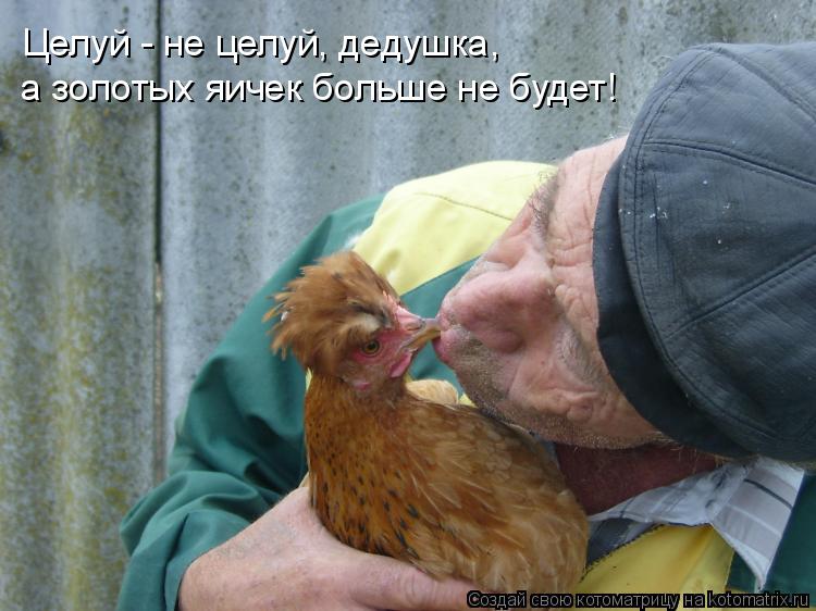 Целуй - не целуй, дедушка, а золотых яичек больше не будет!... Котоматрица: Целуй - не целуй, дедушка, а золотых яичек больше не будет!