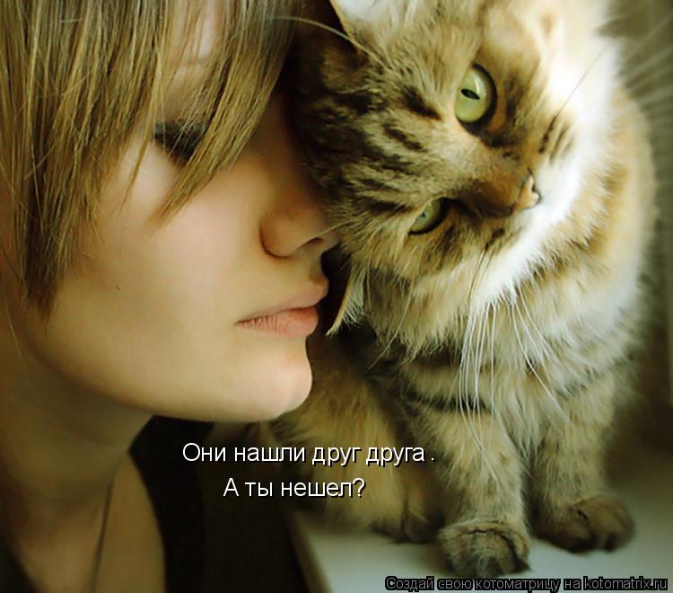 Они нашли друг друга . А ты нешел?... Котоматрица: Они нашли друг друга . А ты нешел?