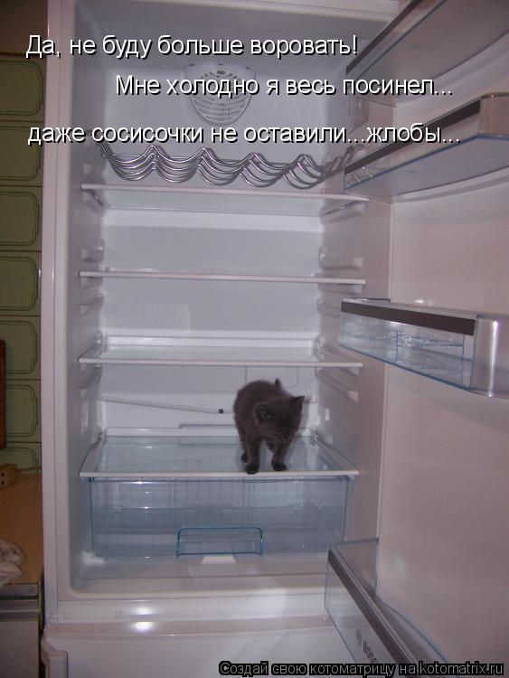 Да, не буду больше воровать! Мне холодно я весь посинел... даже сосисочки не оставили...жлобы...... Котоматрица: Да, не буду больше воровать! Мне холодно я весь посинел... даже сосисочки не оставили...жлобы...