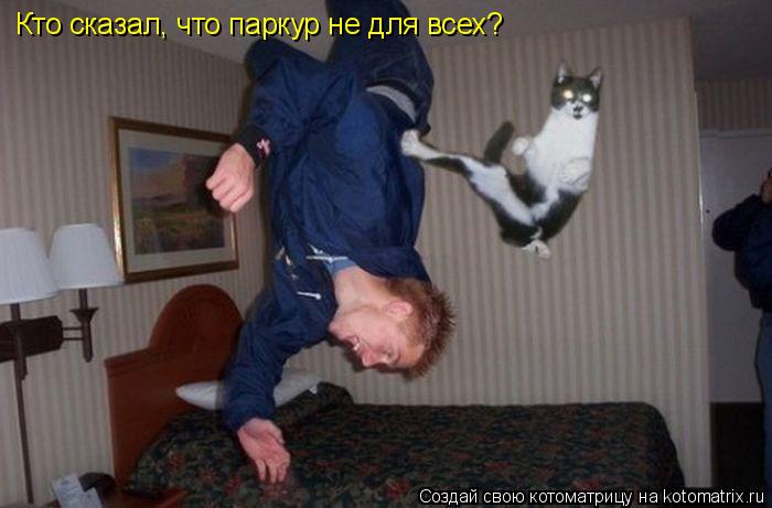 Кто сказал, что паркур не для всех?... Котоматрица: Кто сказал, что паркур не для всех?