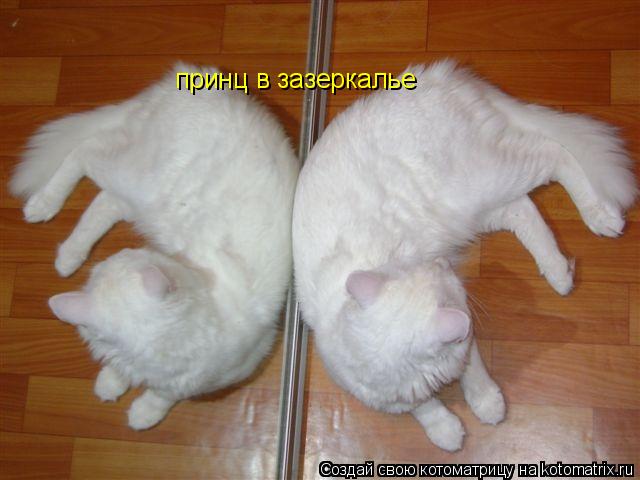 принц в зазеркалье... Котоматрица: принц в зазеркалье
