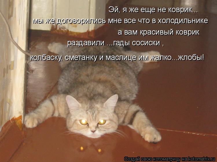 Эй, я же еще не коврик... мы же договорились мне все что в холодильнике а вам красивый коврик раздав... Котоматрица: Эй, я же еще не коврик... мы же договорились мне все что в холодильнике а вам красивый коврик раздавили ...гады сосиски , колбаску, сметанку и