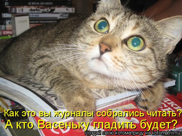 Как это вы журналы собрались читать? А кто Васеньку гладить будет?... Котоматрица: Как это вы журналы собрались читать? А кто Васеньку гладить будет?