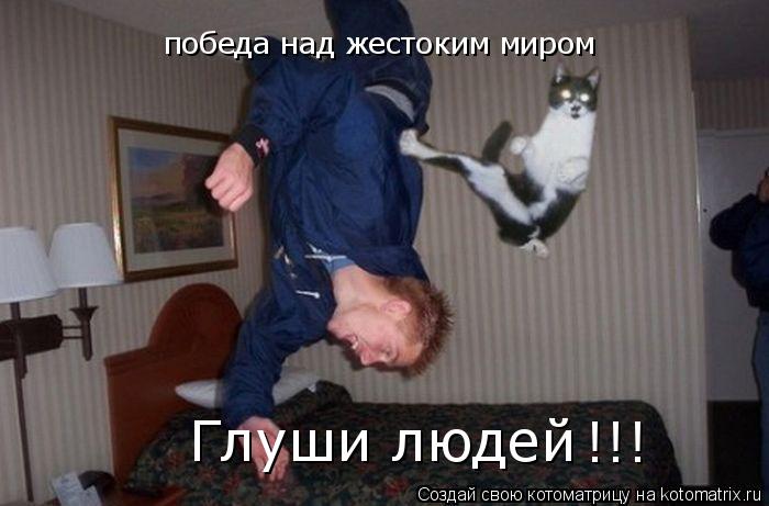 победа над жестоким миром Глуши людей !!!... Котоматрица: победа над жестоким миром Глуши людей !!!