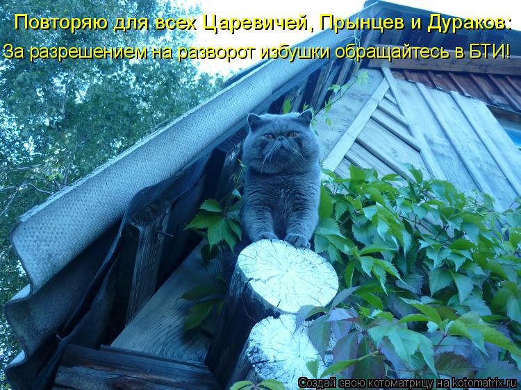 Котоматрица: Повторяю для всех Царевичей, Прынцев и Дураков:  За разрешением на разворот избушки обращайтесь в БТИ!