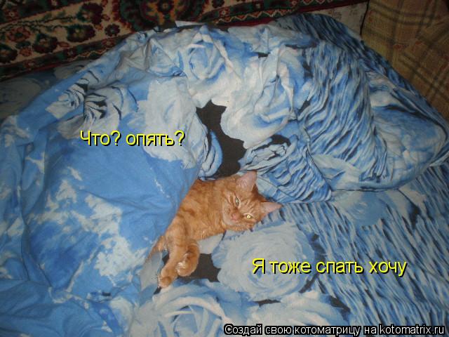 Что? опять? Я тоже спать хочу... Котоматрица: Что? опять? Я тоже спать хочу