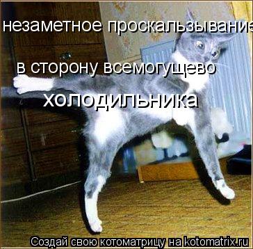 незаметное проскальзывание в сторону всемогущево холодильника... Котоматрица: незаметное проскальзывание в сторону всемогущево холодильника