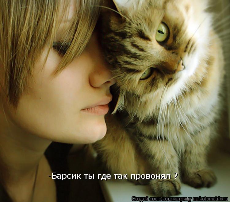 -Барсик ты где так провонял ?... Котоматрица: -Барсик ты где так провонял ?