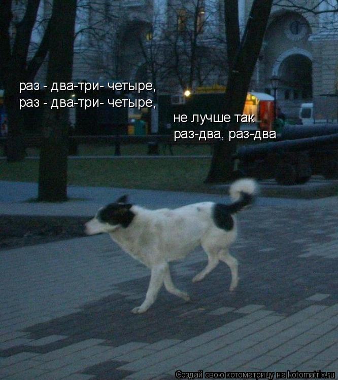 раз - два-три- четыре, раз - два-три- четыре, не лучше так раз-два, раз-два... Котоматрица: раз - два-три- четыре, раз - два-три- четыре, не лучше так раз-два, раз-два