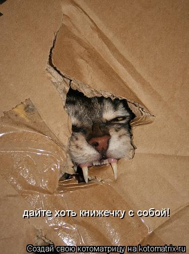 дайте хоть книжечку с собой!... Котоматрица: дайте хоть книжечку с собой!