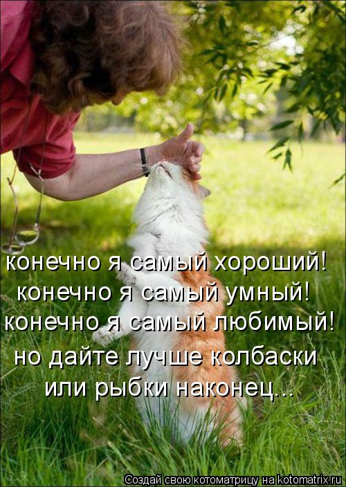 конечно я самый хороший! конечно я самый умный! конечно я самый любимый! но дайте лучше колбаски или ... Котоматрица: конечно я самый хороший! конечно я самый умный! конечно я самый любимый! но дайте лучше колбаски или рыбки наконец...