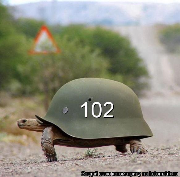 102... Котоматрица: 102