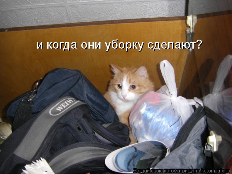 и когда они уборку сделают?... Котоматрица: и когда они уборку сделают?