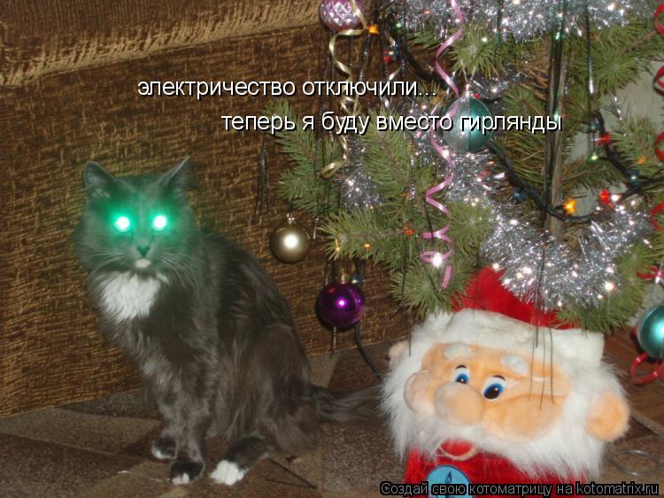 электричество отключили... теперь я буду вместо гирлянды... Котоматрица: электричество отключили... теперь я буду вместо гирлянды