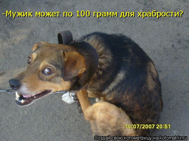 -Мужик может по 100 грамм для храбрости?... Котоматрица: -Мужик может по 100 грамм для храбрости?