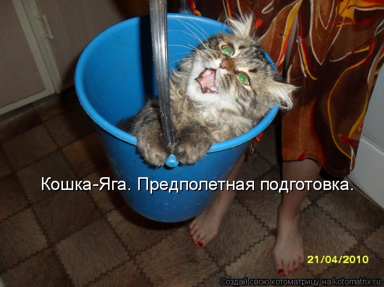 Кошка-Яга. Предполетная подготовка.... Котоматрица: Кошка-Яга. Предполетная подготовка.