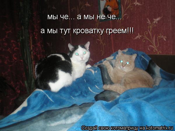 а мы тут кроватку греем!!! мы че... а мы не че...... Котоматрица: а мы тут кроватку греем!!! мы че... а мы не че...
