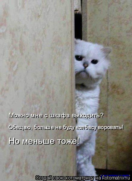Можно мне с шкафа выходить? Обещаю, больше не буду колбасу воровать! Но меньше тоже!... Котоматрица: Можно мне с шкафа выходить? Обещаю, больше не буду колбасу воровать! Но меньше тоже!