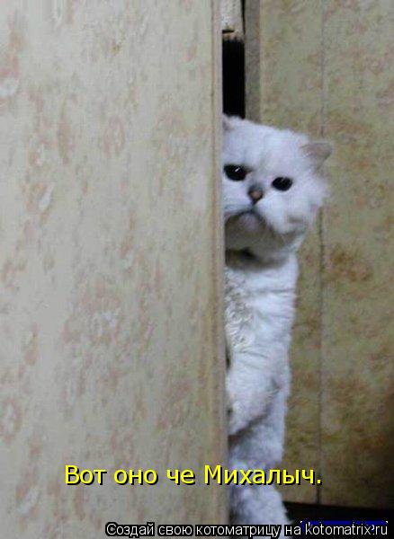 Вот оно че Михалыч.... Котоматрица: Вот оно че Михалыч.