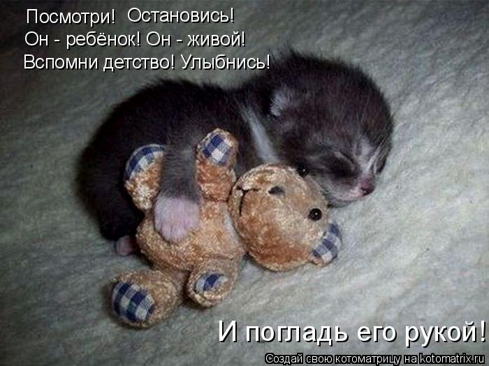 Посмотри! Остановись! Он - ребёнок! Он - живой! Вспомни детство! Улыбнись! И погладь его рукой!... Котоматрица: Посмотри! Остановись! Он - ребёнок! Он - живой! Вспомни детство! Улыбнись! И погладь его рукой!