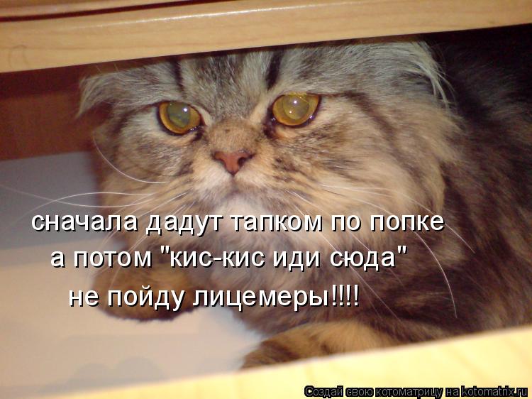 сначала дадут тапком по попке а потом "кис-кис иди сюда" не пойду лицемеры!!!!... Котоматрица: сначала дадут тапком по попке а потом "кис-кис иди сюда" не пойду лицемеры!!!!